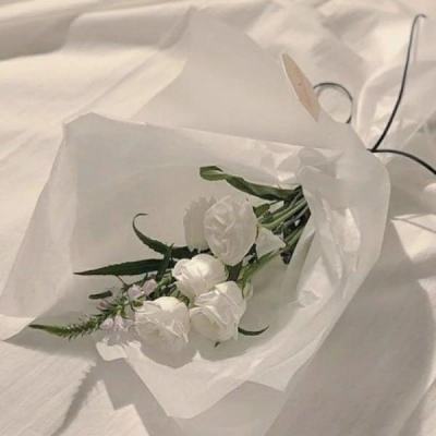 华夏征途满v公益服下载