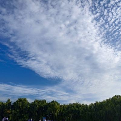 茅山志异官方版下载