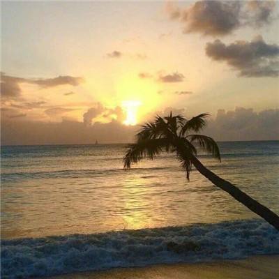 别让银发经济沦为坑老经济